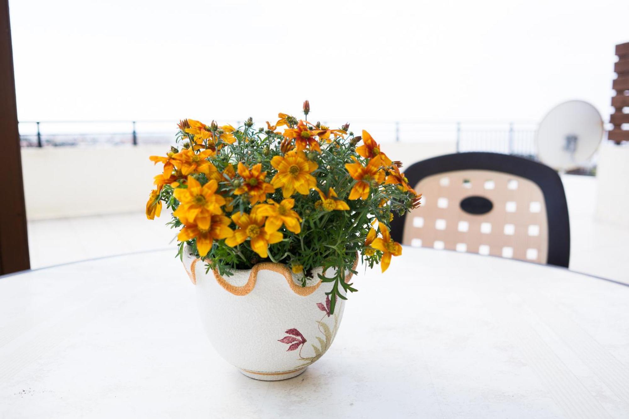 Eden Apartment Paphos